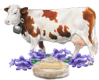 FERME DES CAMPANULES