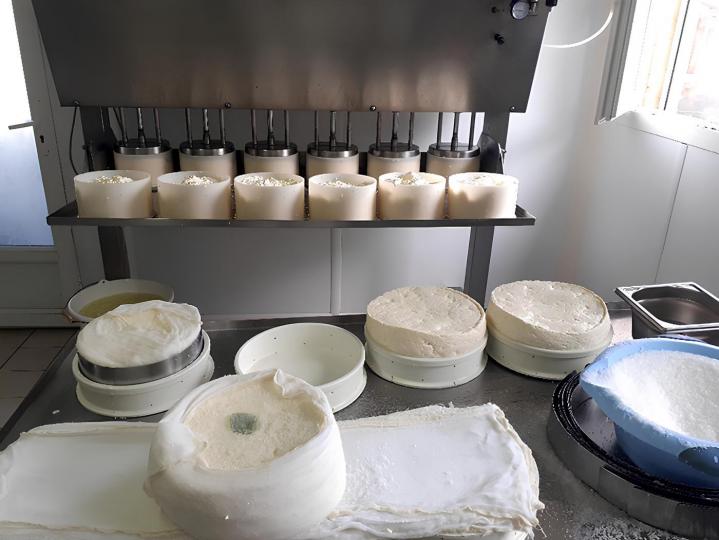 Producteur fromage Saint-Nectaire Picherande
