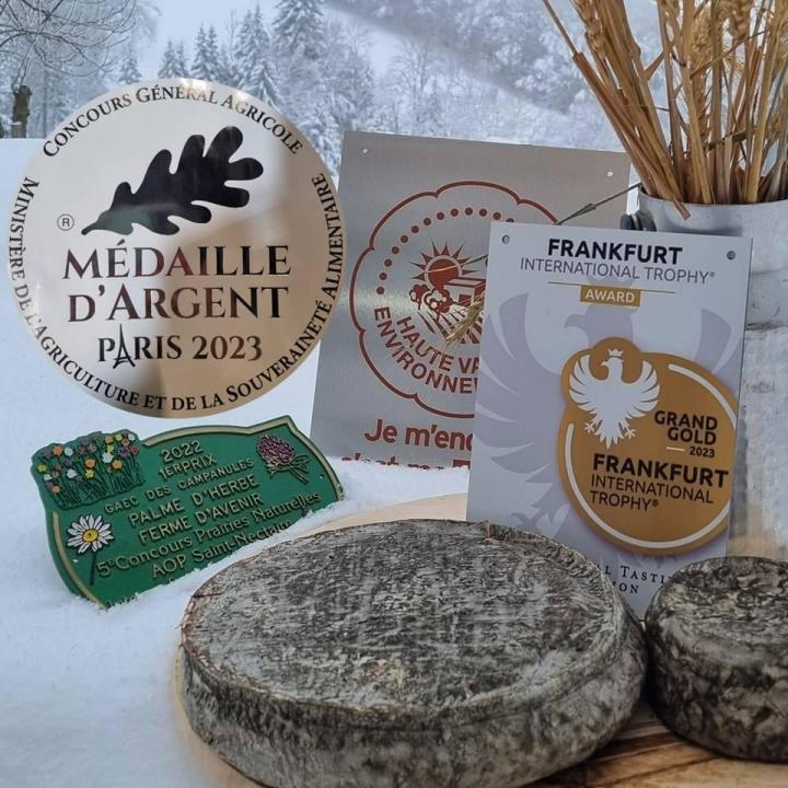 Production Saint-Nectaire Picherande