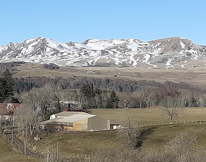 Élevage de vaches Picherande