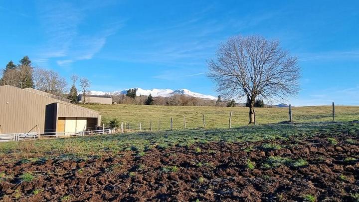 Vente Saint-Nectaire Picherande