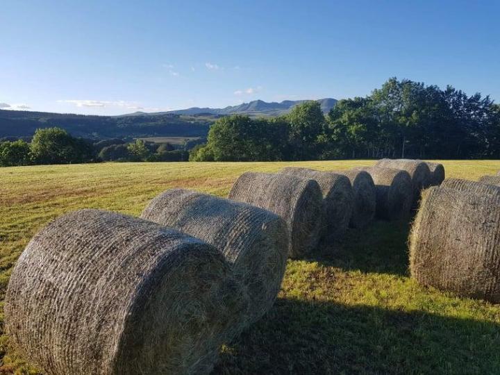 Boutique de fromages Picherande