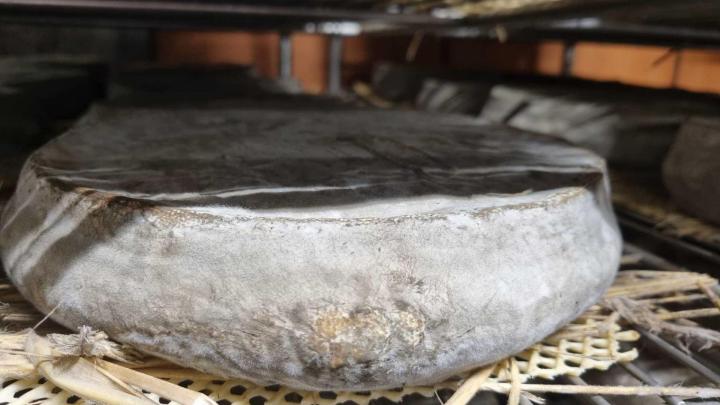 Producteurs de Saint-Nectaire AOP à Picherande