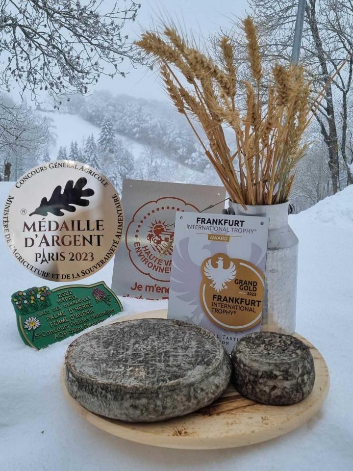 Production Saint-Nectaire Picherande