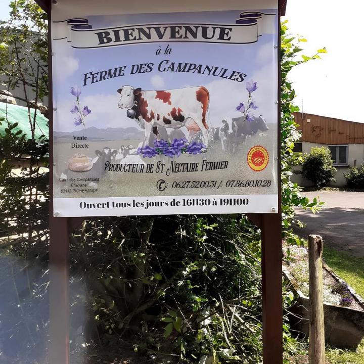 Production Saint-Nectaire Picherande
